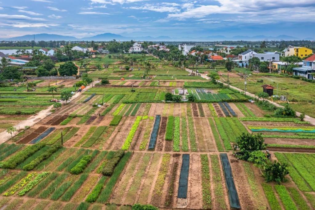 Hoi An Ht Villa And Hostel Luaran gambar